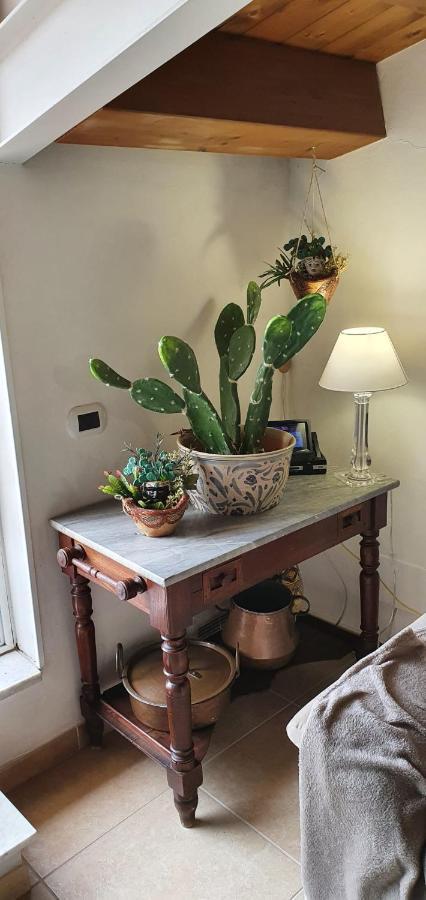 Palermit'Amo Bed & Breakfast Palermo Dış mekan fotoğraf